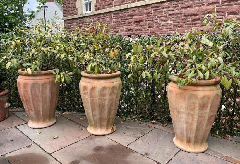 ベッドアンドブレックファースト Ty Llew Lodge