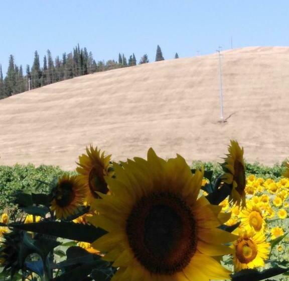 مبيت وإفطار Villa Niccoli