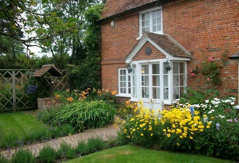 住宿加早餐 Vine Cottage