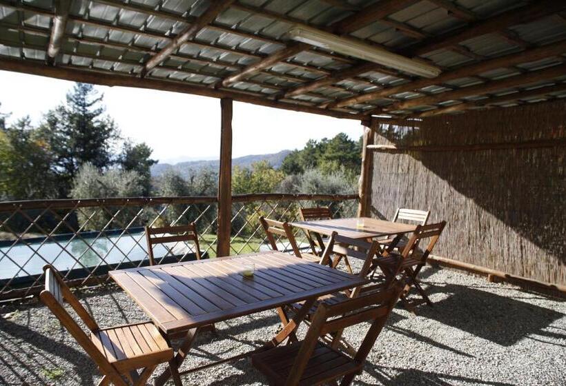 酒店 Agriturismo Da Nonna Argia