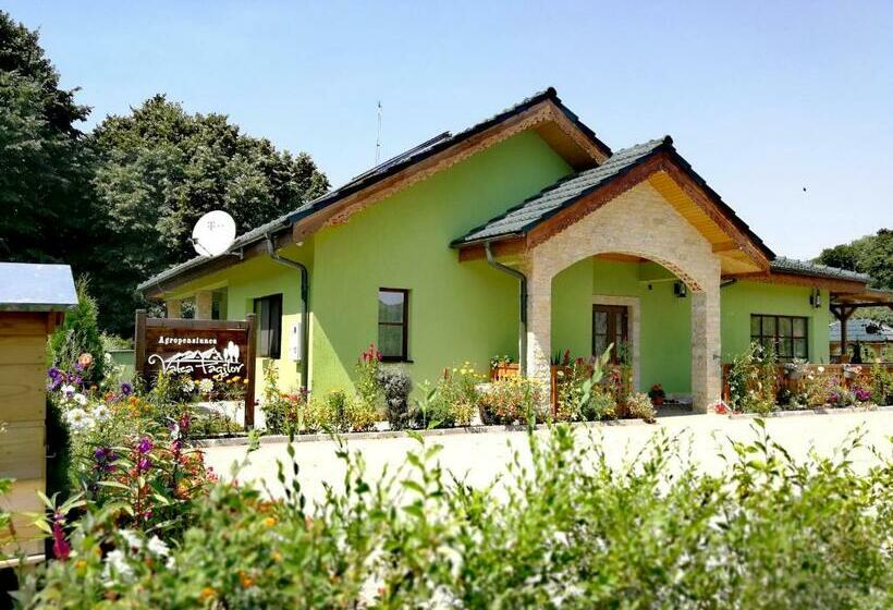 Отель Agropensiunea Valea Fagilor