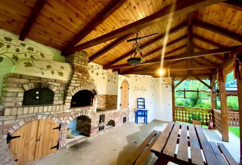 Отель Agropensiunea Valea Fagilor