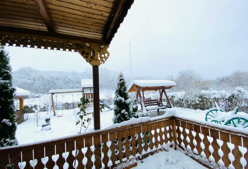 Отель Agropensiunea Valea Fagilor