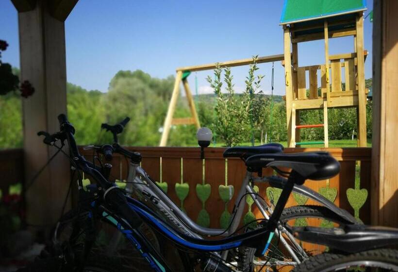 Отель Agropensiunea Valea Fagilor