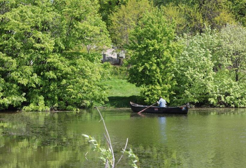 Отель Agropensiunea Valea Fagilor
