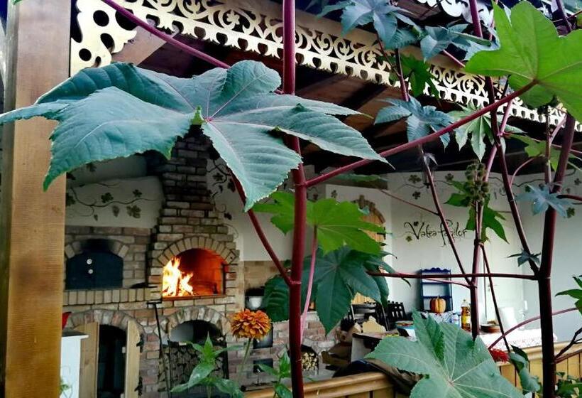 Отель Agropensiunea Valea Fagilor