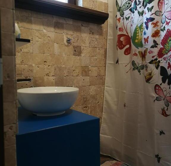 Отель Agropensiunea Valea Fagilor