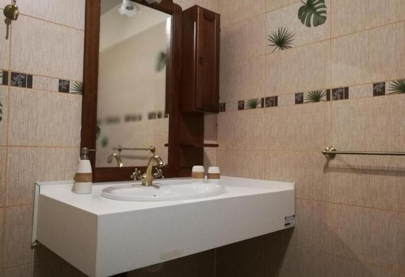 Отель Agropensiunea Valea Fagilor