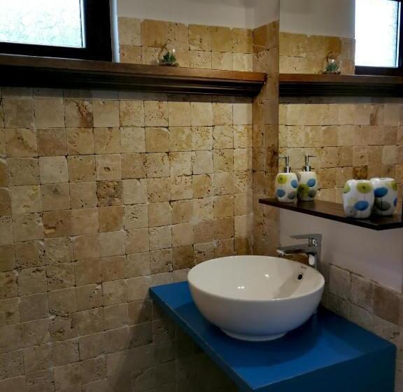 Отель Agropensiunea Valea Fagilor