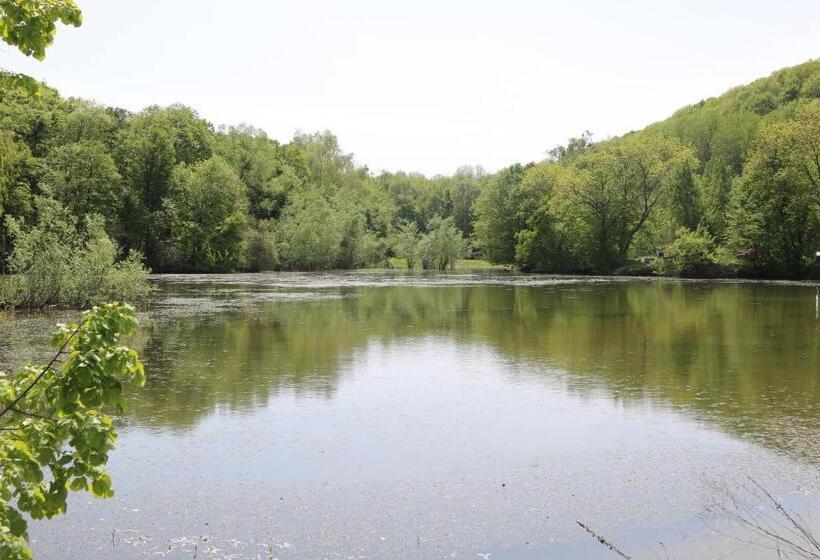 Отель Agropensiunea Valea Fagilor