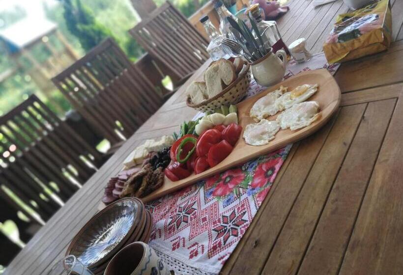 Отель Agropensiunea Valea Fagilor