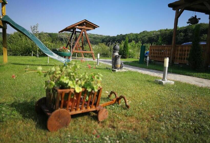 Отель Agropensiunea Valea Fagilor