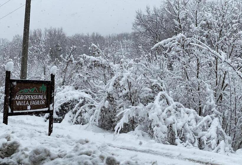 Отель Agropensiunea Valea Fagilor