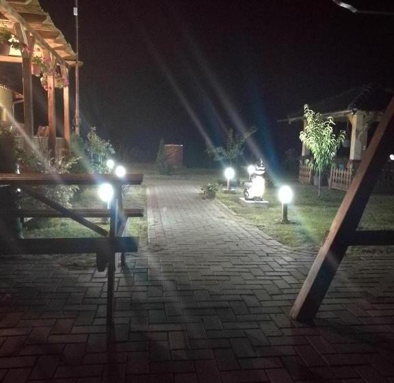 Отель Agropensiunea Valea Fagilor