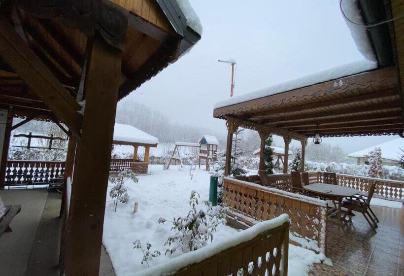 Отель Agropensiunea Valea Fagilor