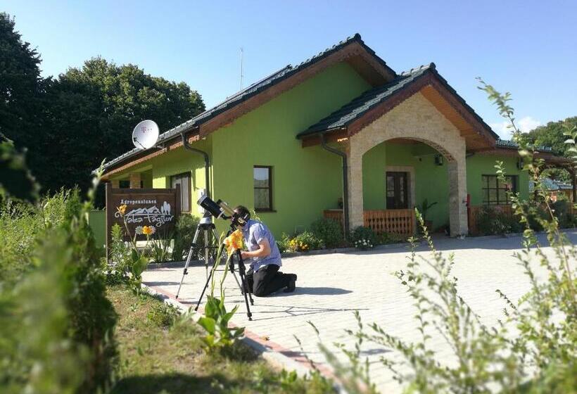 Отель Agropensiunea Valea Fagilor