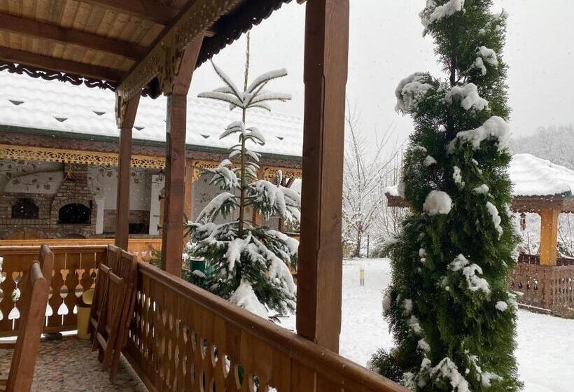 Отель Agropensiunea Valea Fagilor