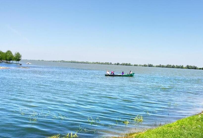 Отель Agropensiunea Valea Fagilor