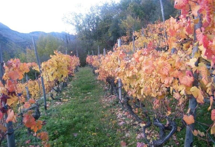 酒店 Albergo Santo Spirito