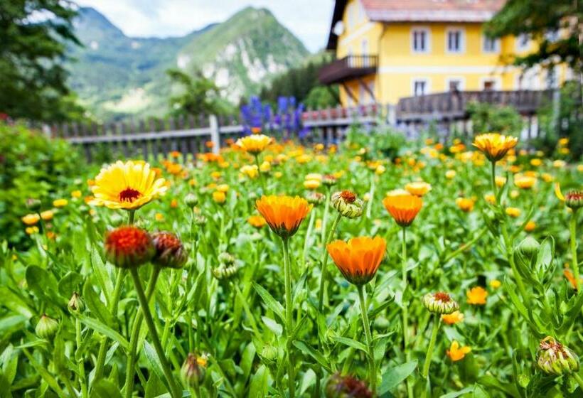 בית מלון כפרי Arlitscherhof