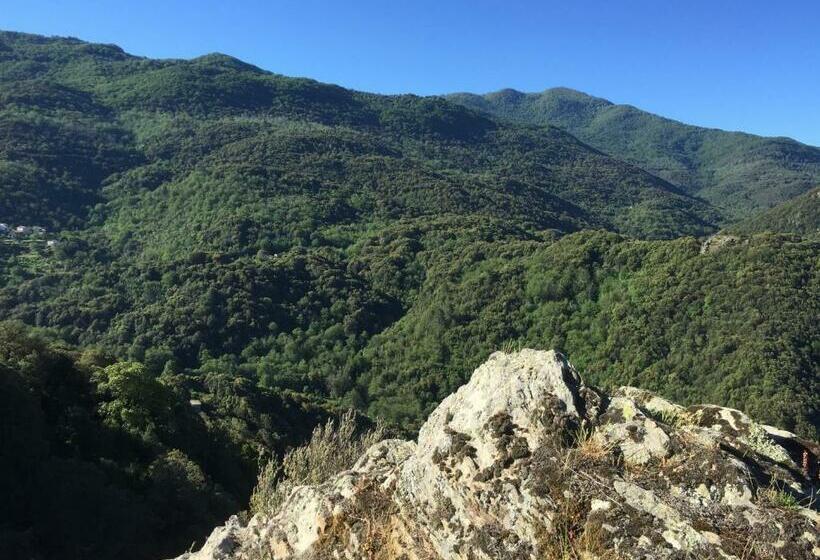 Отель Du Tourisme