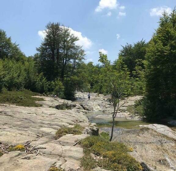 Отель Du Tourisme