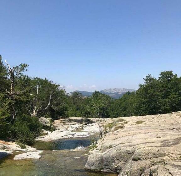 Отель Du Tourisme