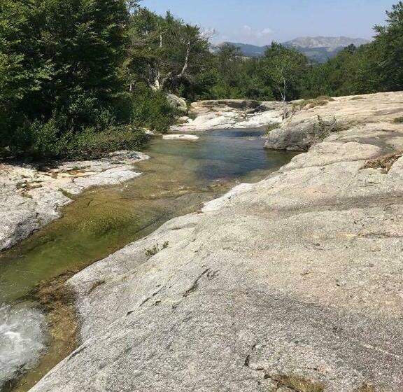 Отель Du Tourisme