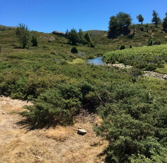 Отель Du Tourisme