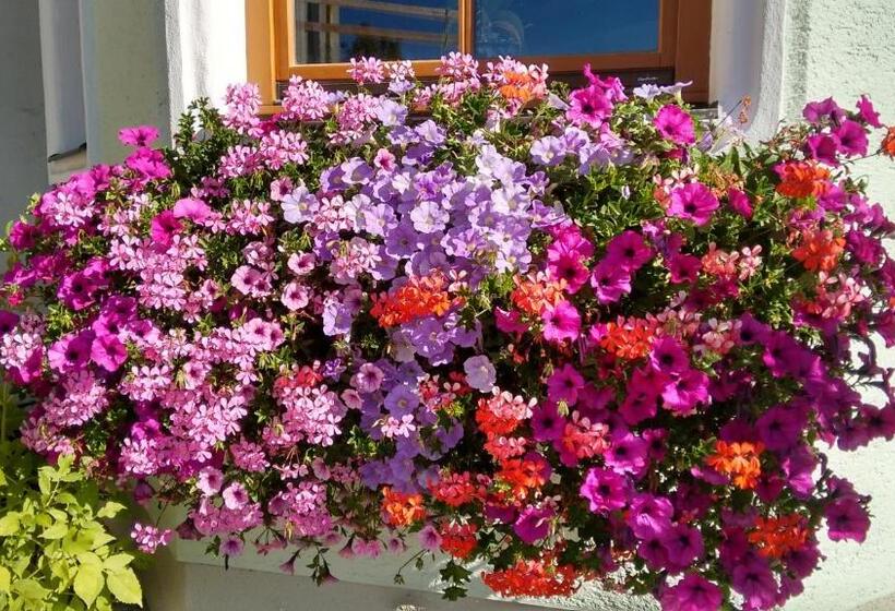 בית מלון כפרי Filzerlehen