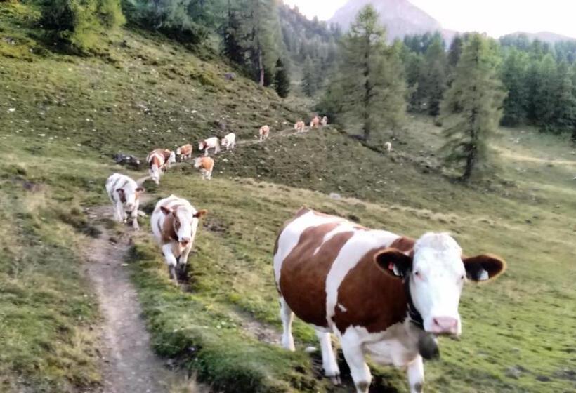 בית מלון כפרי Filzerlehen