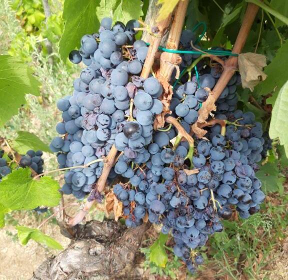 酒店 Fumu Ludurru Farm Stay