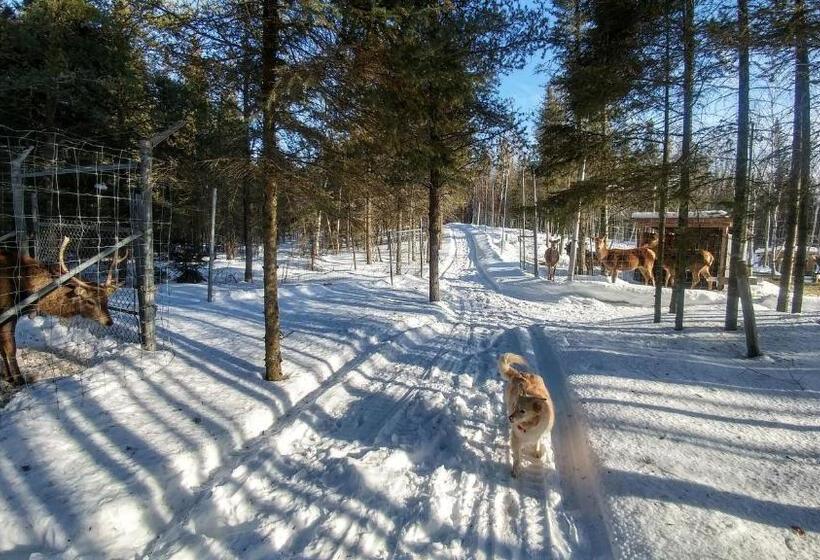 호텔 Hebergement Cerfstifie Fermette