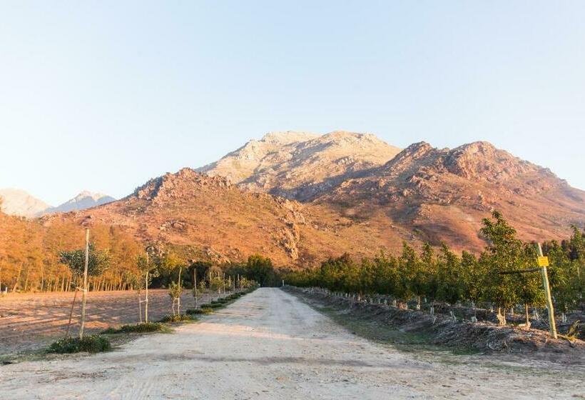 فندق White Bridge Farm Accommodation