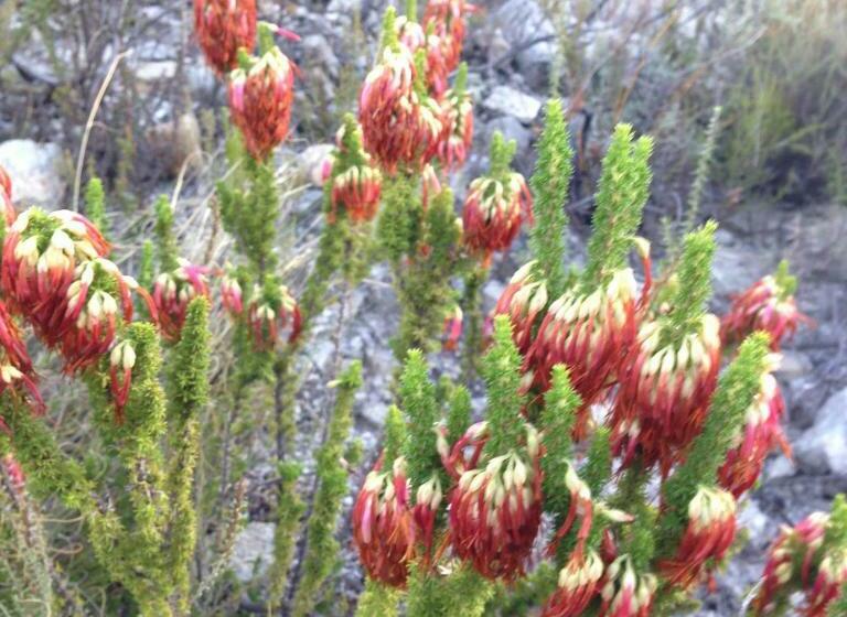 فندق White Bridge Farm Accommodation