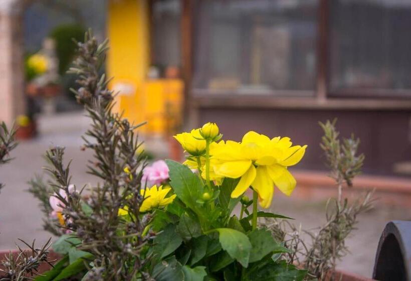 بنسيون Affittacamere Dell Autista