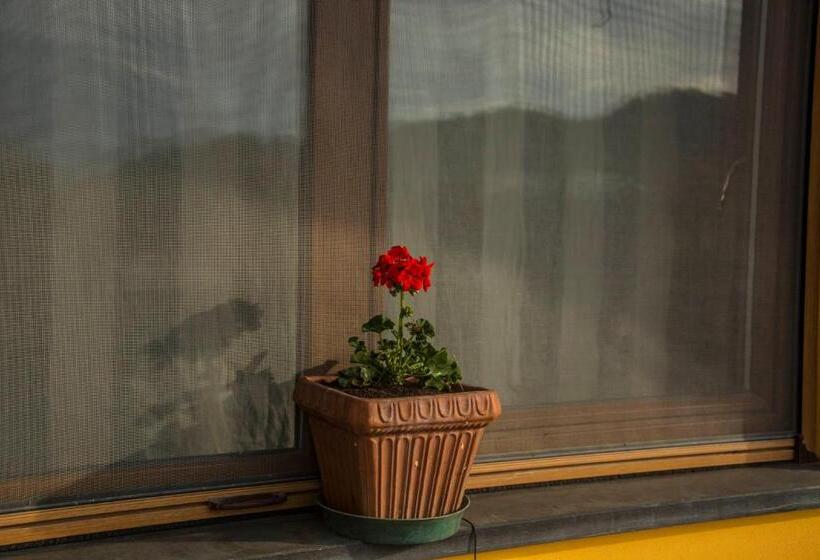 بنسيون Affittacamere Dell Autista