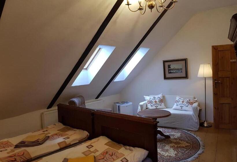 펜션 Apartmány U Sv. Floriána