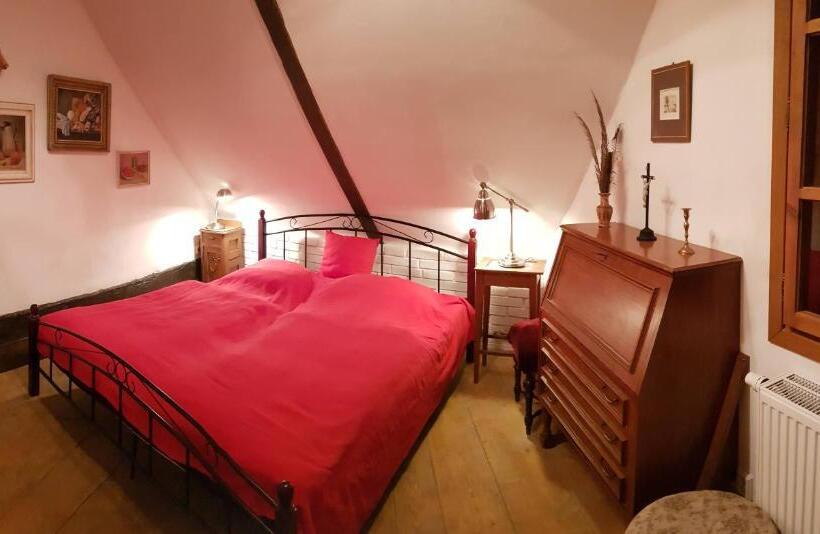 펜션 Apartmány U Sv. Floriána