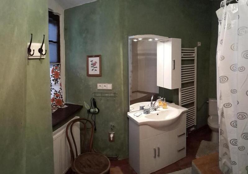 펜션 Apartmány U Sv. Floriána