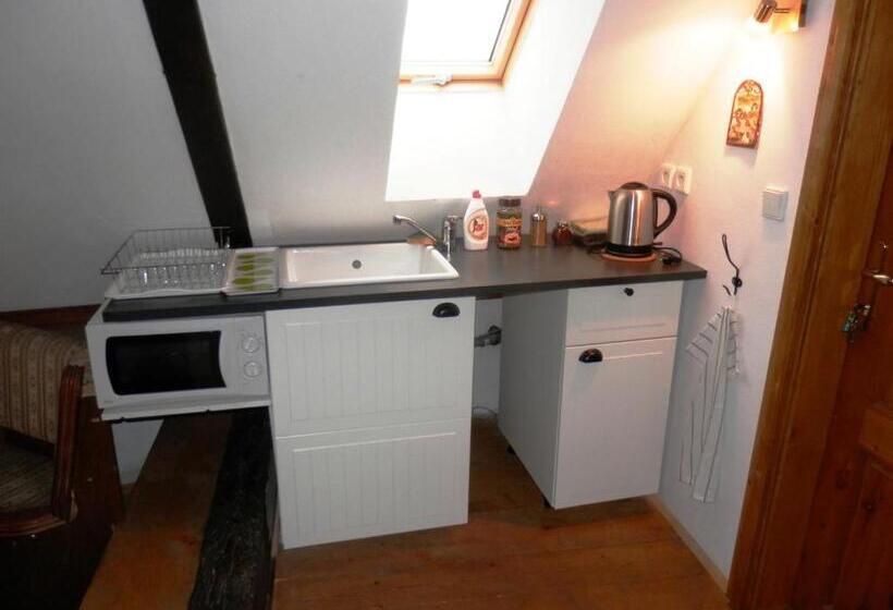 펜션 Apartmány U Sv. Floriána