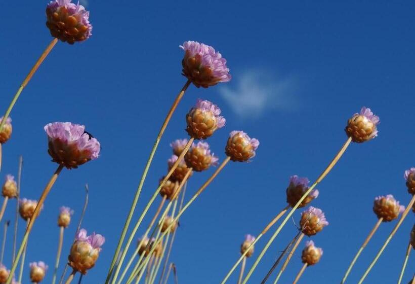 פנסיון Blue Guide Milfontes