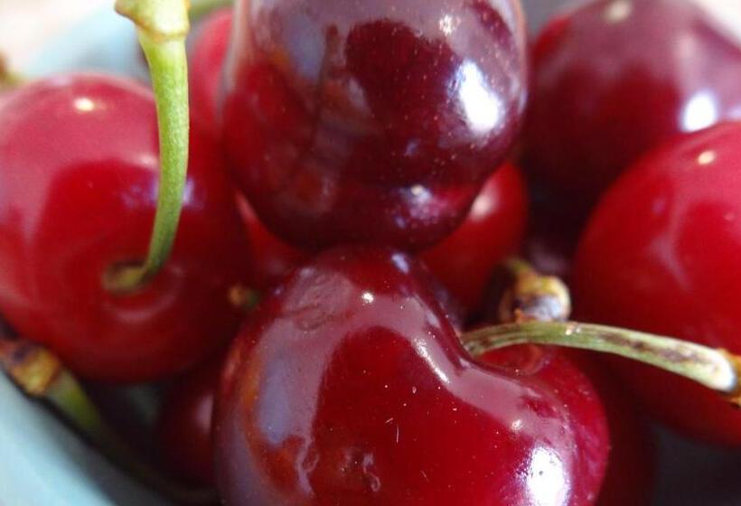 פנסיון Blue Guide Milfontes