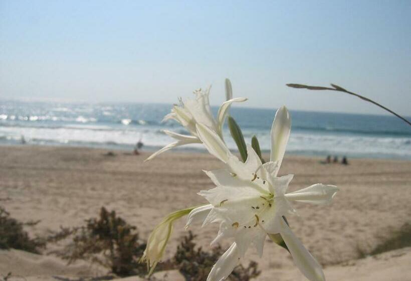 פנסיון Blue Guide Milfontes