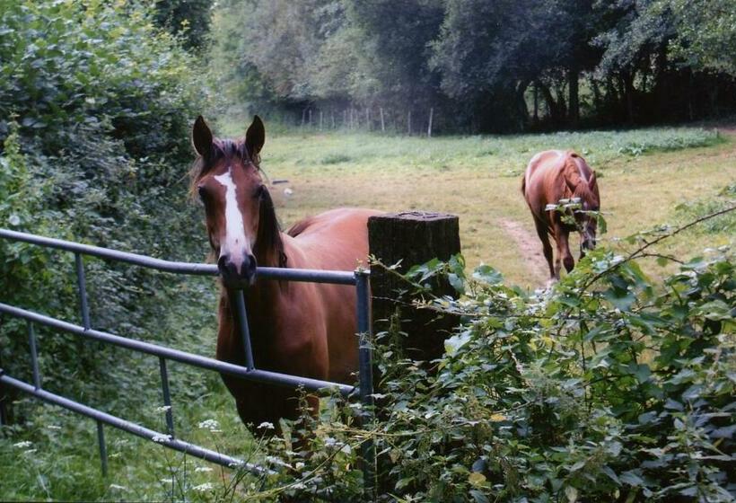 膳宿费 Chambre D Hôte Courtoux