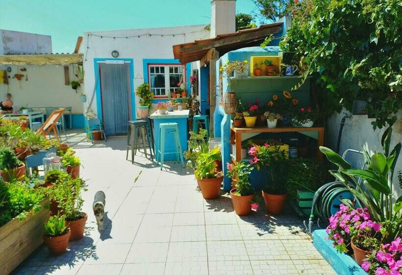 膳宿费 Ethic Surf House