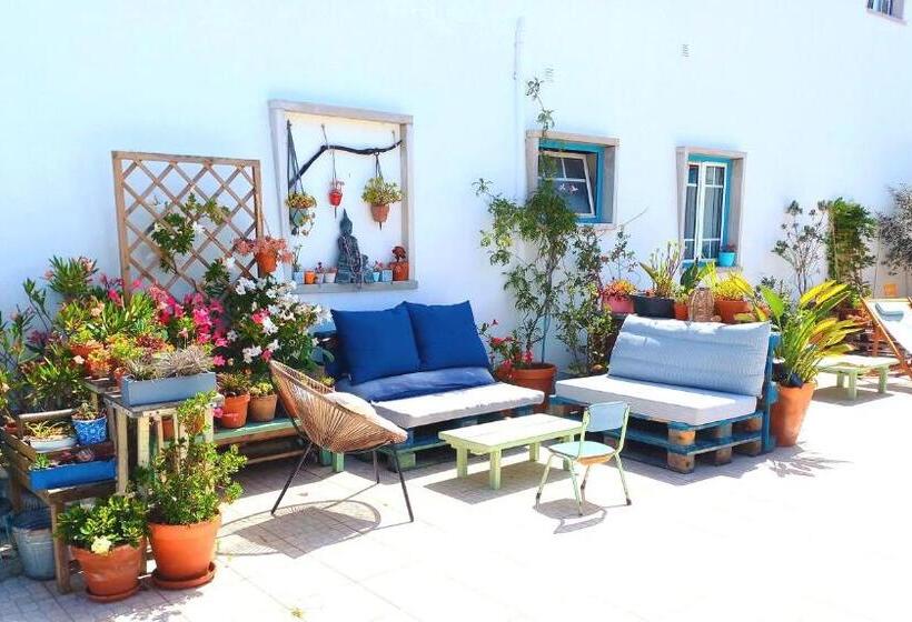 膳宿费 Ethic Surf House