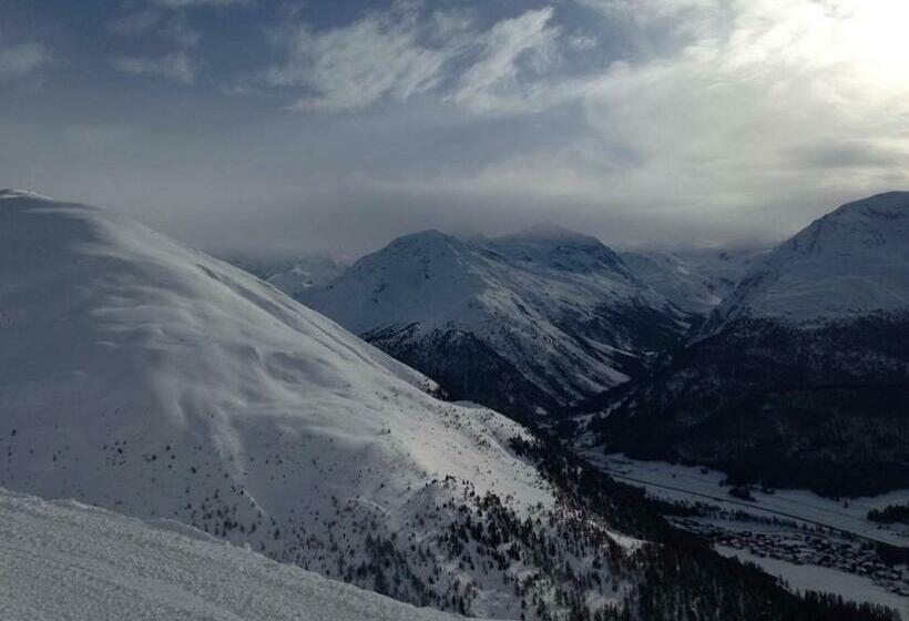 بنسيون Free Hugs