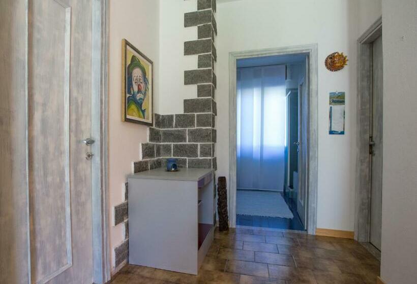 بنسيون Free Hugs