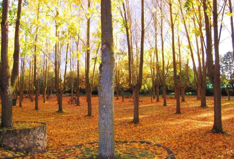 پانسیون Hostal Plaza Mayor